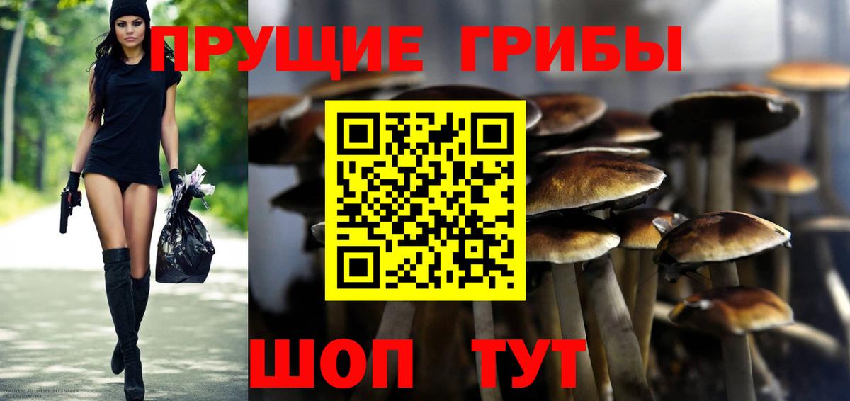 Псилоцибиновые грибы мухоморы  Вход с VPN  Кушва 