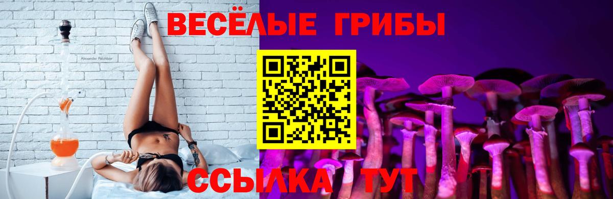 Псилоцибиновые грибы ЛСД Кушва
