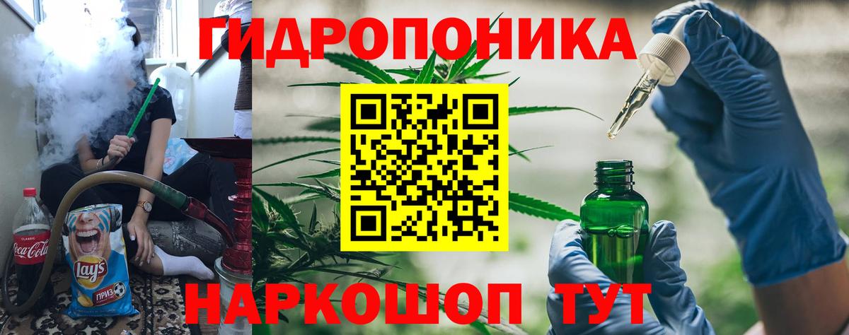 Конопля марихуана Кушва